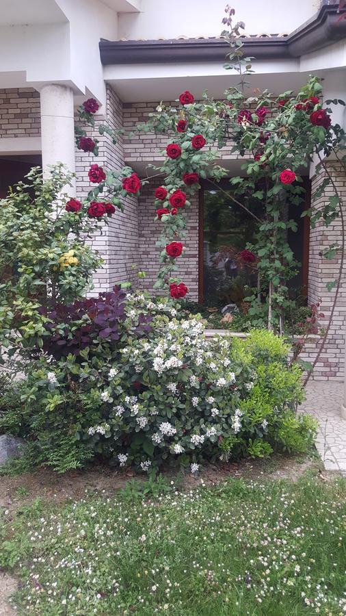 Villa Gioia Rooms Montegranaro Exterior foto